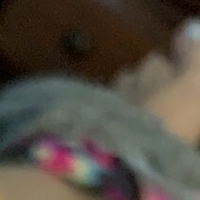 butterflylovebug Naken